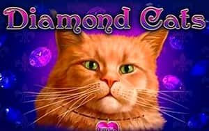 Diamond Cats